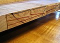 Fourteen Year Old Markings and Glue Joints